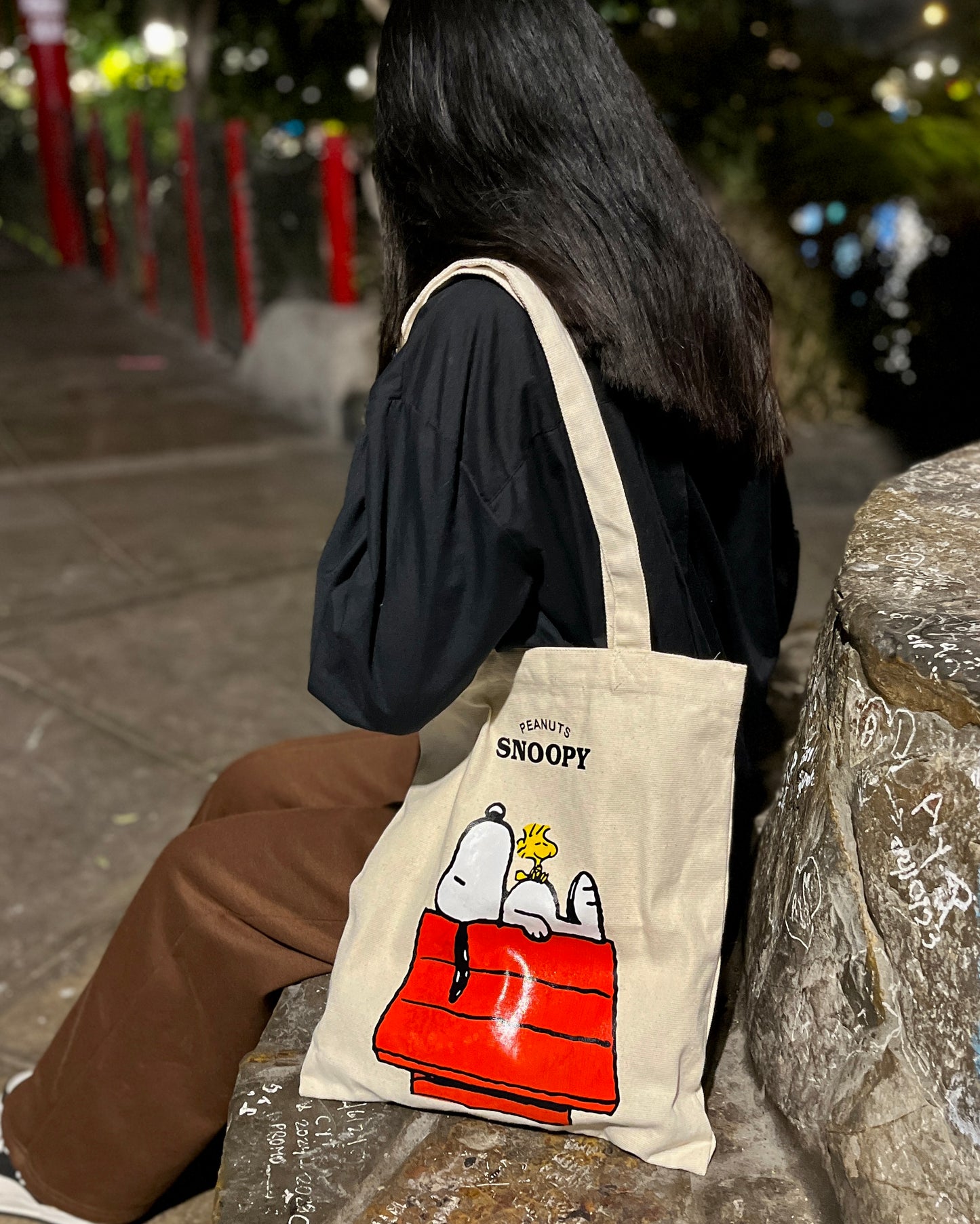 Snoopy dormilón