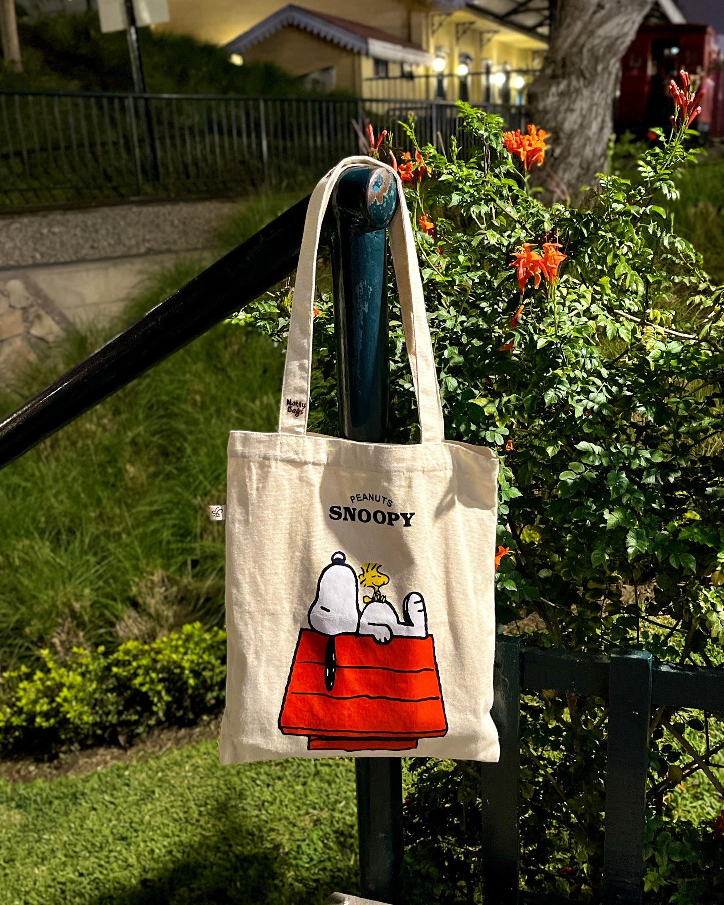 Snoopy dormilón