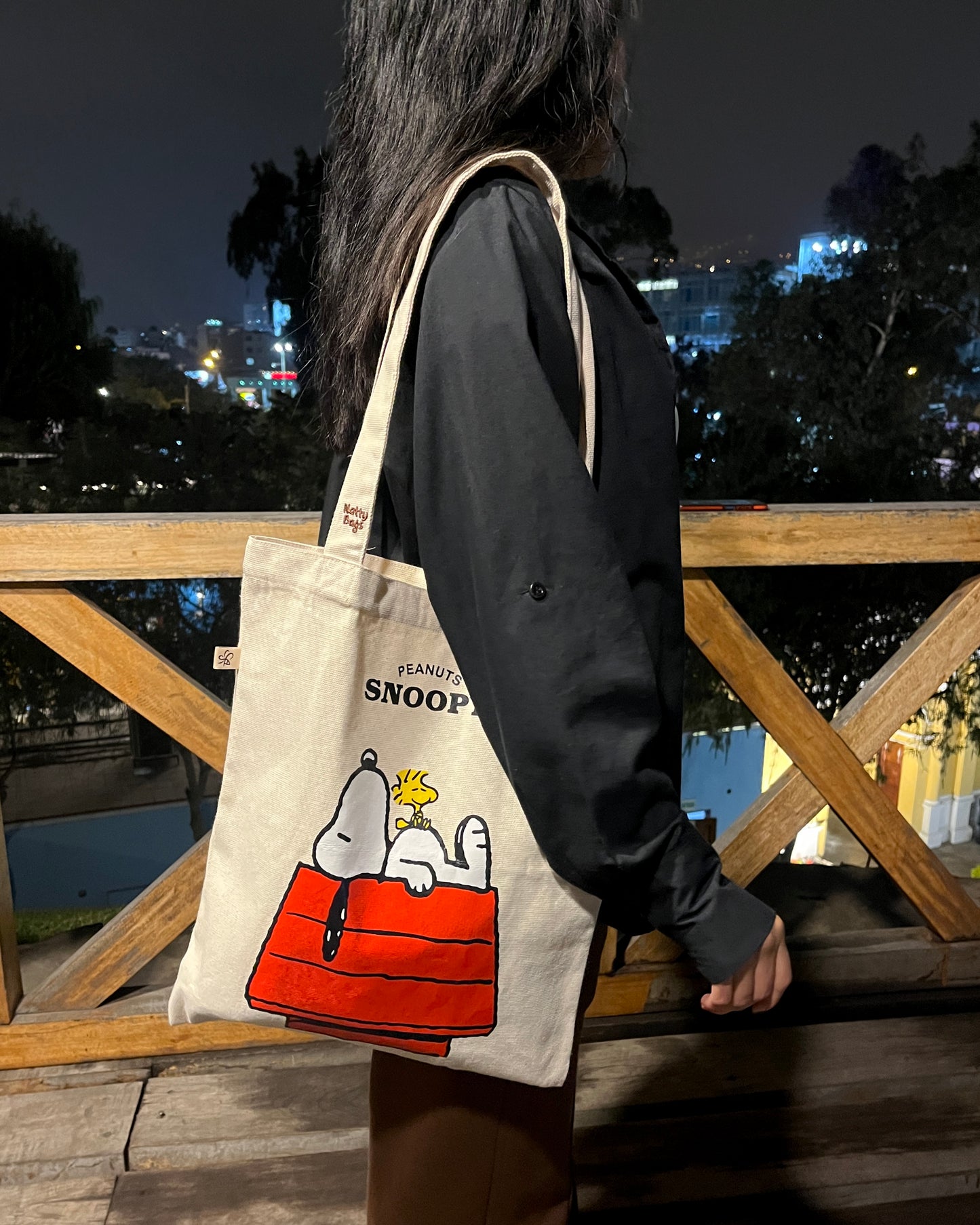 Snoopy dormilón
