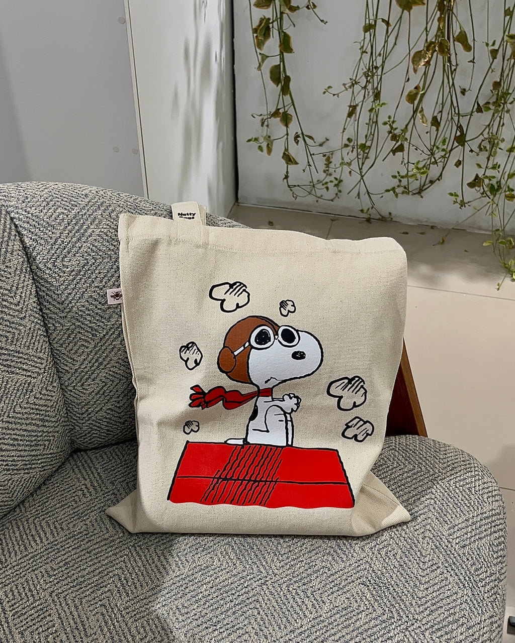 Flying Snoopy.